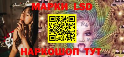 крисы Беслан
