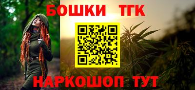 крисы Беслан