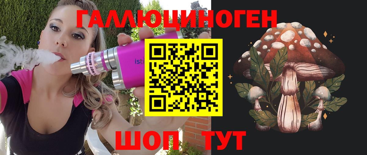 Галлюциногенные грибы Psilocybine cubensis  Вход с VPN  Ипатово 